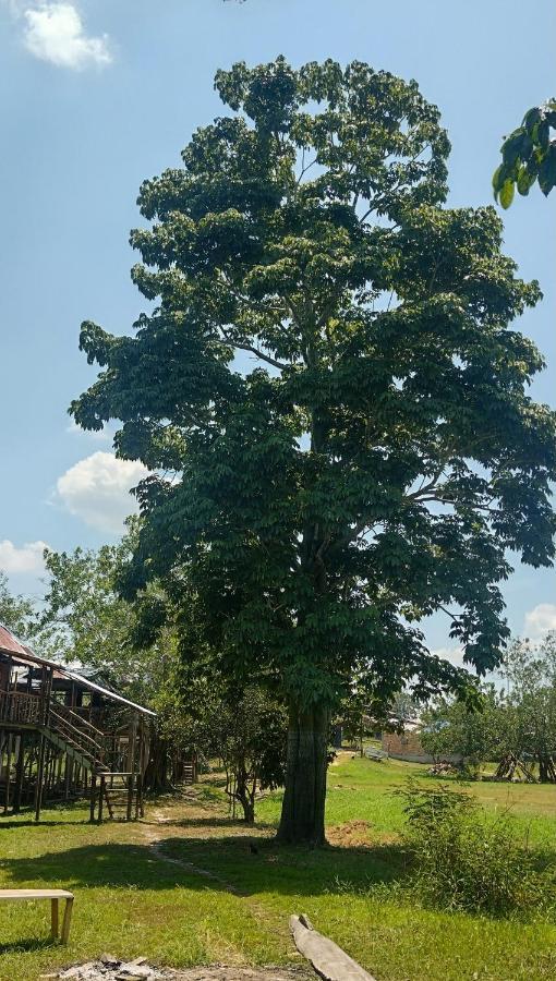 Casa Kukama Lodge 이키토스 외부 사진
